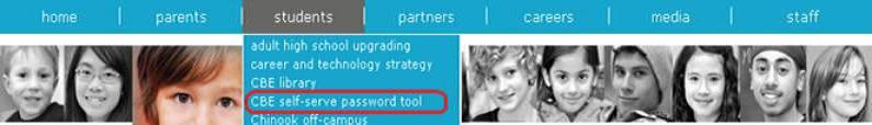 CBE Self-Serve Password tool location